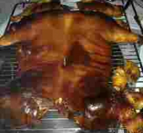 cochinillo